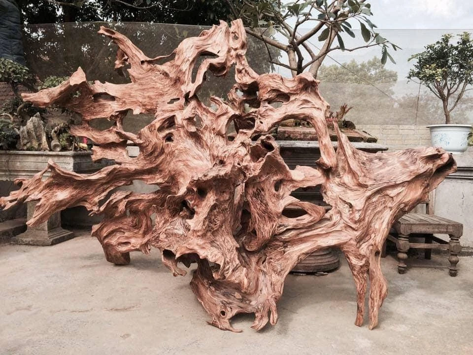 Gỗ lũa chưa chạm khắc 03 Test