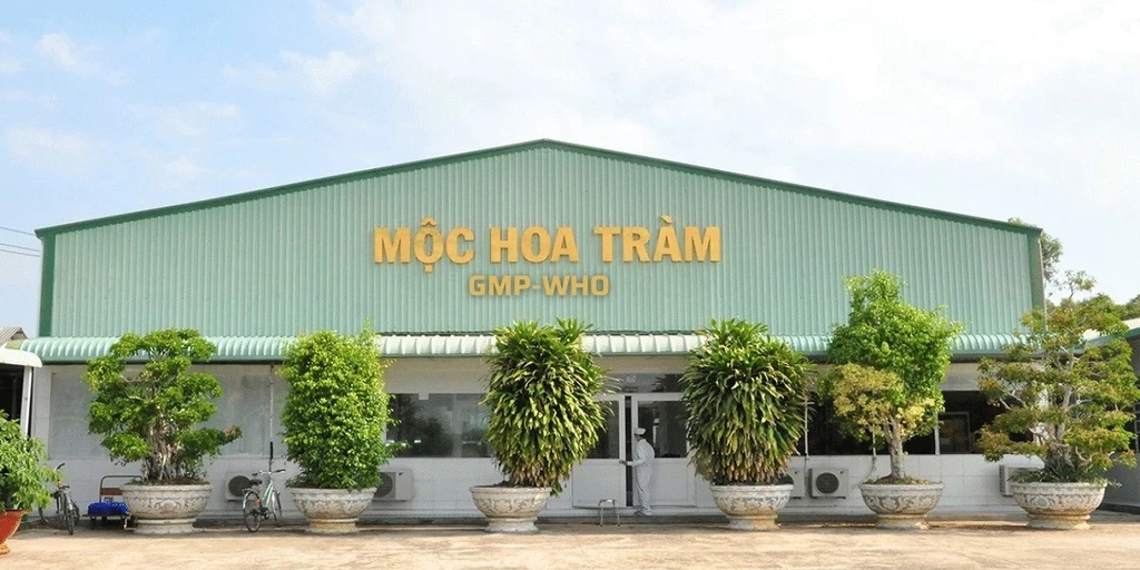 Choviet102 offer